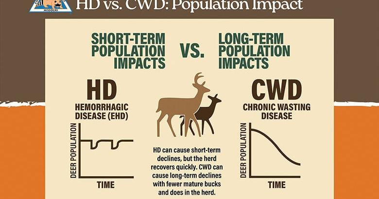 OUTDOORS: Drought, heat spike hemorrhagic disease in deer