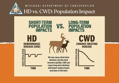CWD graphic