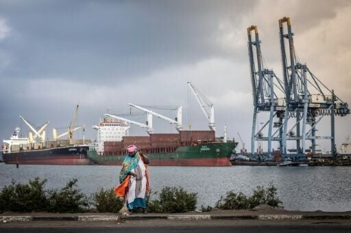 Djibouti's ports, close to one of the world's busiest shipping lanes, are crucial to its economy