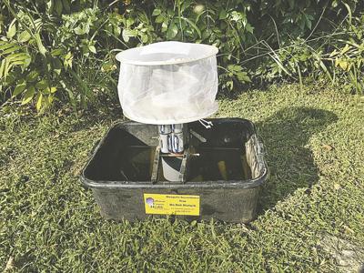 mosquito trap.jpg