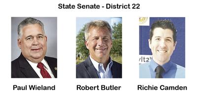 State Senate - District 22.jpg