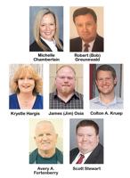 FOX C-6 SCHOOLS: Two seats are open in race with plenty of experience