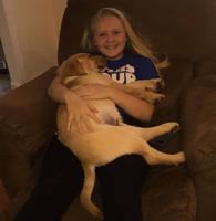 Pet spot: Duke one big, playful puppy