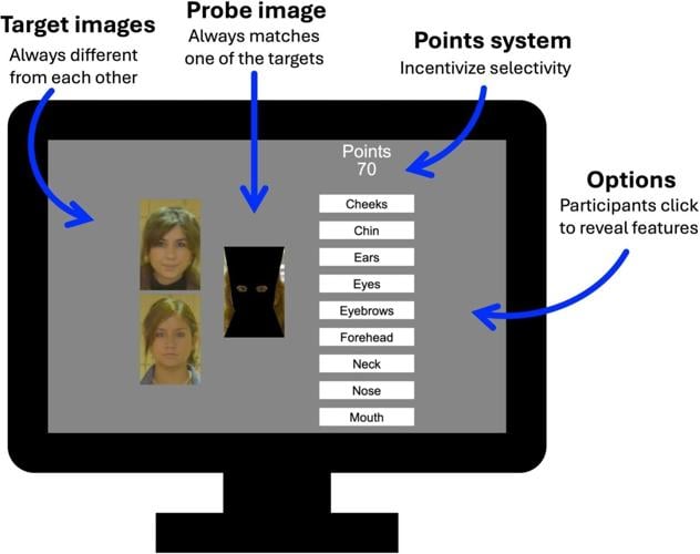 Facial identity specialists can recognise someone just from their eyes or ears