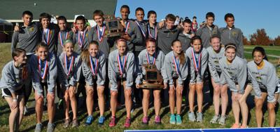 Festus cross country teams