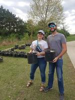 OUTDOORS: Storms bring truth about weak wood to light