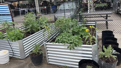 The Farm to Table Dinner will raise money for the De Soto Farmers Market programs such as the new community garden.