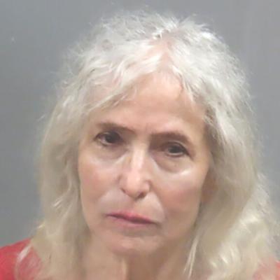 Fenton-area woman accused of stalking