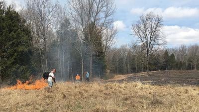 controlled burn