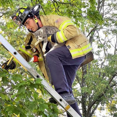 Rock Firefighter Zach Kalevich rescues a cat from a tree in Arnold.