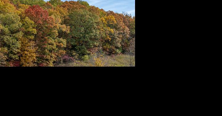 JeffCo offers opportunities to savor the vibrant fall leaves | Local News - Vimarsana News