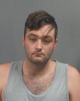Arnold man charged with animal abuse
