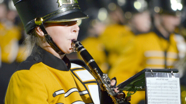 festus bands (32).JPG