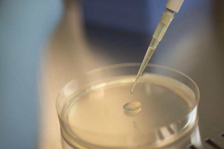 Microbial contents of 5,300-year-old Ötzi the Iceman’s body revealed