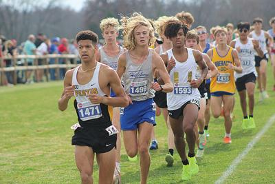 Tate Riney, Gavin Alexander