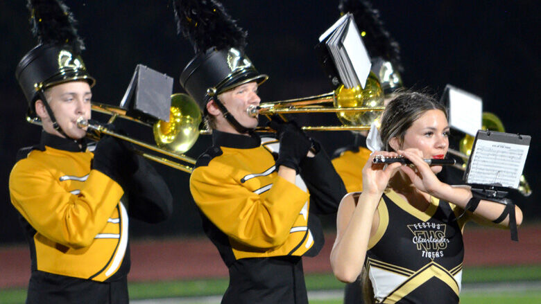 festus bands (34).JPG