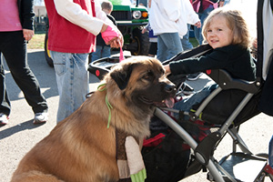 Kimmswick Apple Butter Festival 