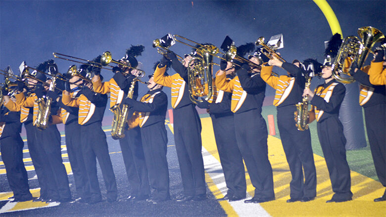 festus bands 3 (33).JPG