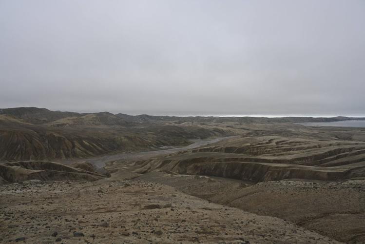 Ancient penguin fossils offer new window into Antarctica’s changing climate