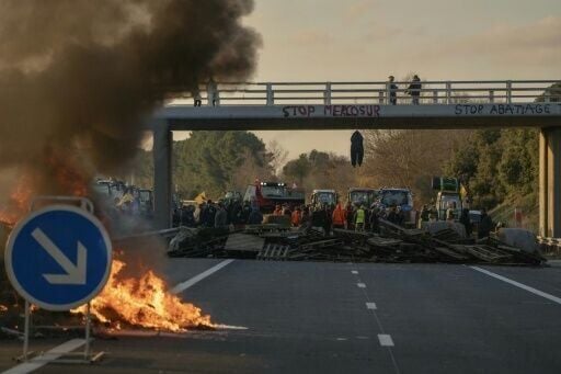 Farmer says the EU-Mercosur deal will flood the market with cheaper alternatives and cause untold damage to their livelihoods