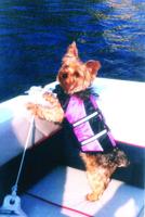 PET SPOT: Petie likes to go bye-bye