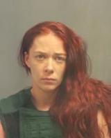 Fenton woman charged for allegedly shooting neighbor in arm