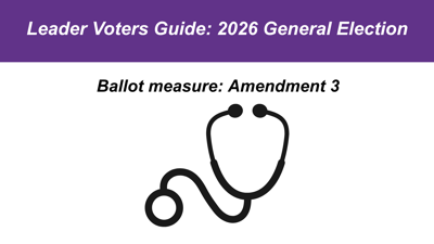 Voters guide: amendment 3