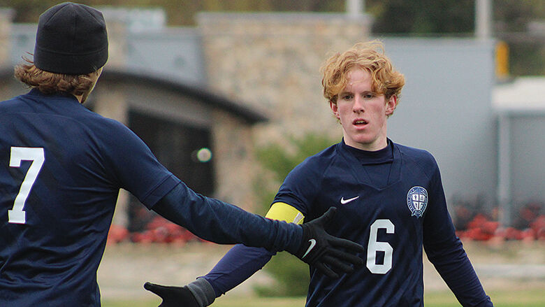 Nathan Stoll, Colin Brown