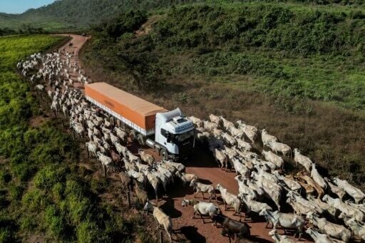 South America's agriculture sector stands to benefit substantially from the free trade agreement