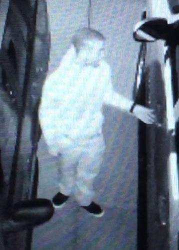 vehicle break-in person of interest