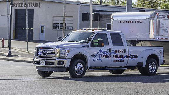 Ted Howell D3-0061.jpg