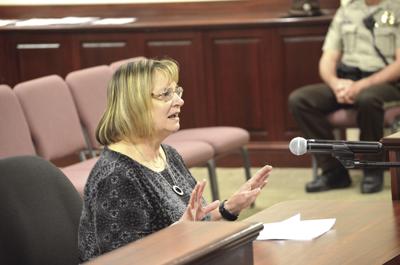 DSC_0016 sue gibson.JPG