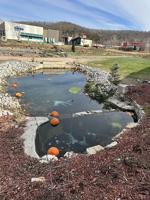 Vandal destroys holiday spirit at House Springs pond Dec. 13