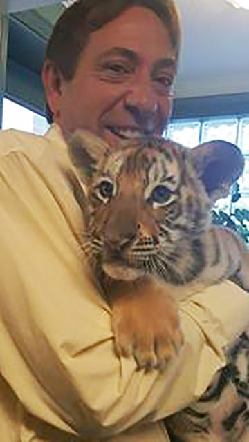 Kirk Mooney with a tiger cub from the exotic animal collection visiting area Buchheit stores.