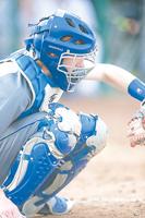 2017 (county) JCAA baseball previews