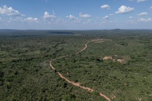 The forest area in Likasi, in the Democratic Republic of Congo, stretches across an area where mining companies are hunting for precious metals