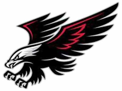 Hodge Elementary Hawk
