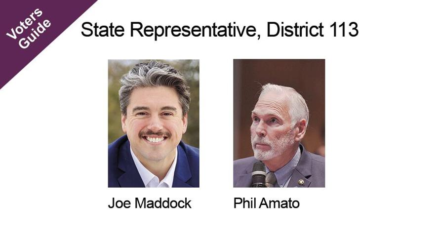 State Representative, District 113