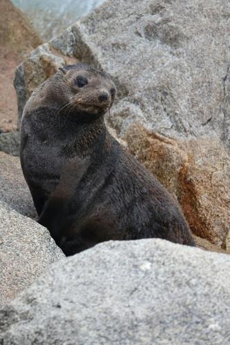 pexels-chiara-holzhaeuser-2157516733-35773615