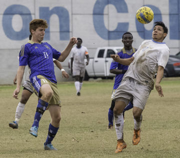 Ted Howell D4-244.jpg