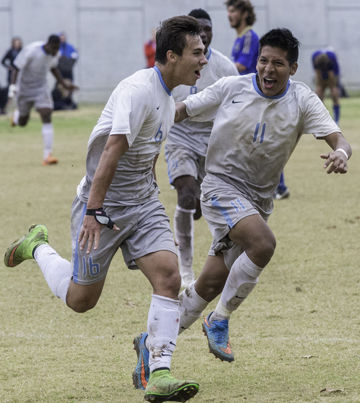 Ted Howell D4-309.jpg