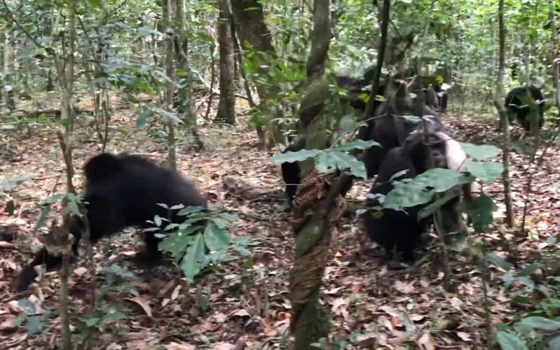 Screenshot 2026-04-09 at 10.39.27 AM