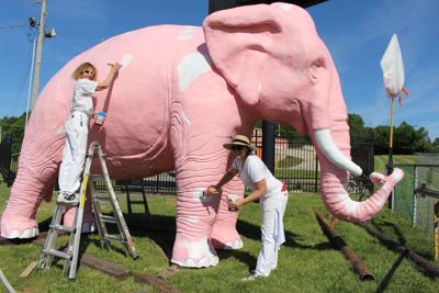 Pink elephant 1.JPG