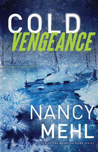 Mehl’s latest novel, “Cold Vengeance.”