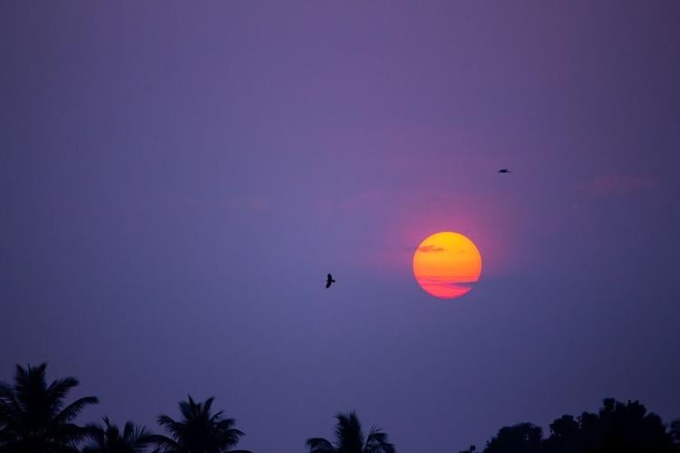 pexels-pavan-prasad-2156671405-39155337