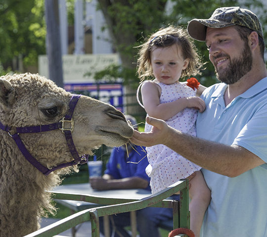 Ted Howell D3-10.jpg