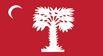Palmetto flag