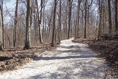 New trail.jpg
