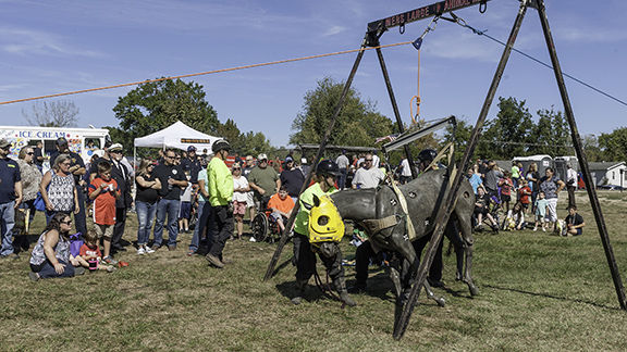 Ted Howell D3-0323.jpg