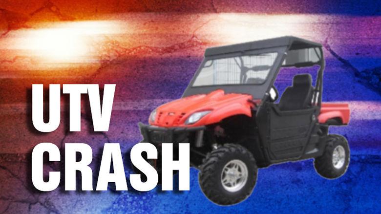 Hillsboro man, Arizona woman hurt in UTV crash near Horine ...